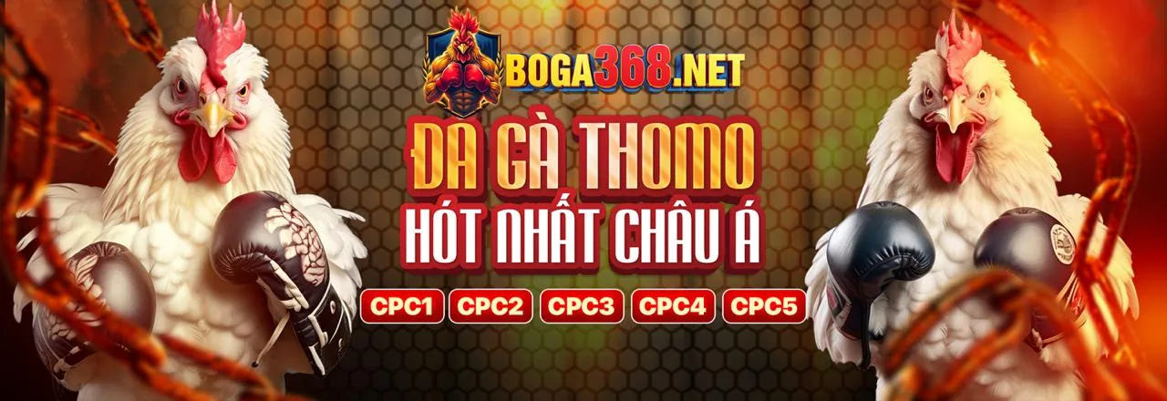 Đá gà trực tuyến kịch tính tại sx666